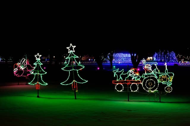 Lights of the Northwoods - Image 2