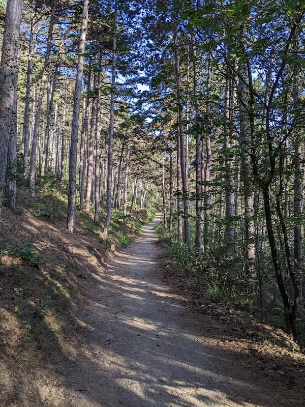 Partenza dalla sbarra per trail San Giorgio - Image 1