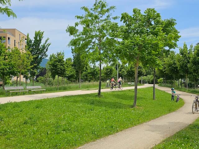 Wegelabyrinth im Schüss Park - Image 2