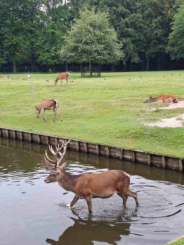 Rogmanspark - Image 1