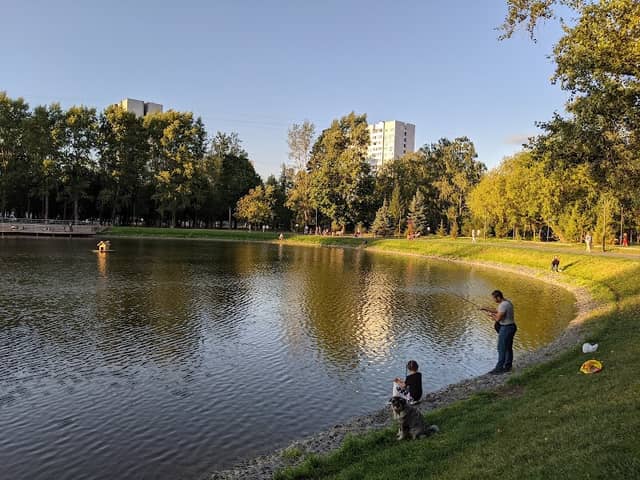 Park Torfyanka - Image 1