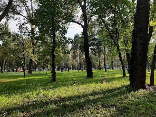 Park Torfyanka - Image 2