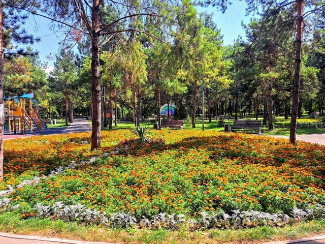 БАК саябағы - Image 1