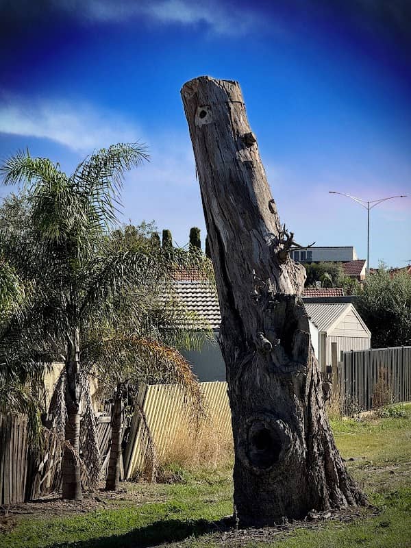 Carbon Crescent Park - Image 1