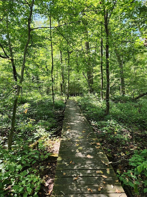 Fogwell Forest - ACRES Land Trust - Image 1