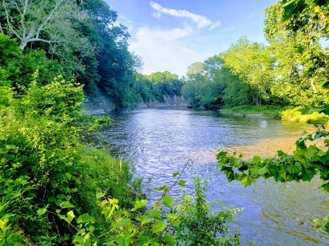 Kiwanis Recreation Park - Image 2