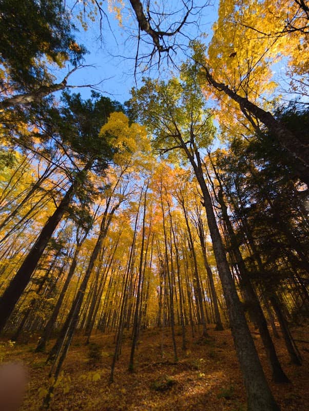 NTN Marquette Township Trailhead - Image 1