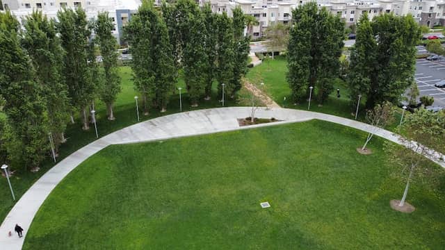 Collection Park - Image 2