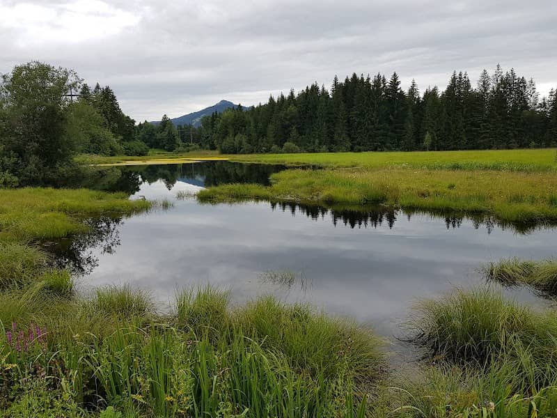 Egelsee - Image 1