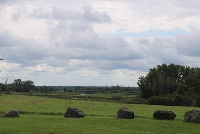 Tonawanda Wildlife Management Area - Image 1