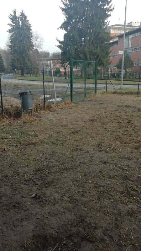 Dog Area Public Bellavista - Image 1