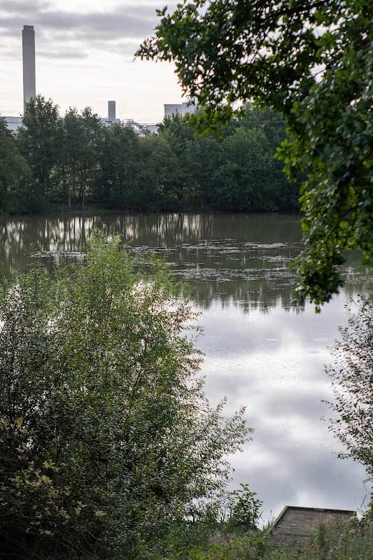 Barlow Common Nature Reserve - Image 1