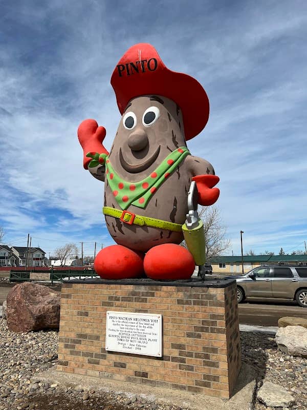 Pinto Macbean: World’s Largest Pinto Bean - Image 1