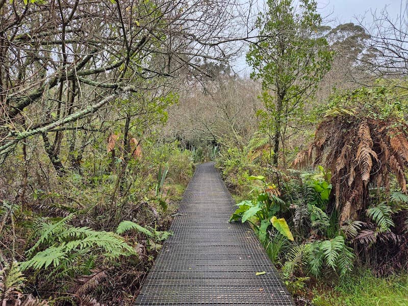 Wetlands Walkway - Image 1