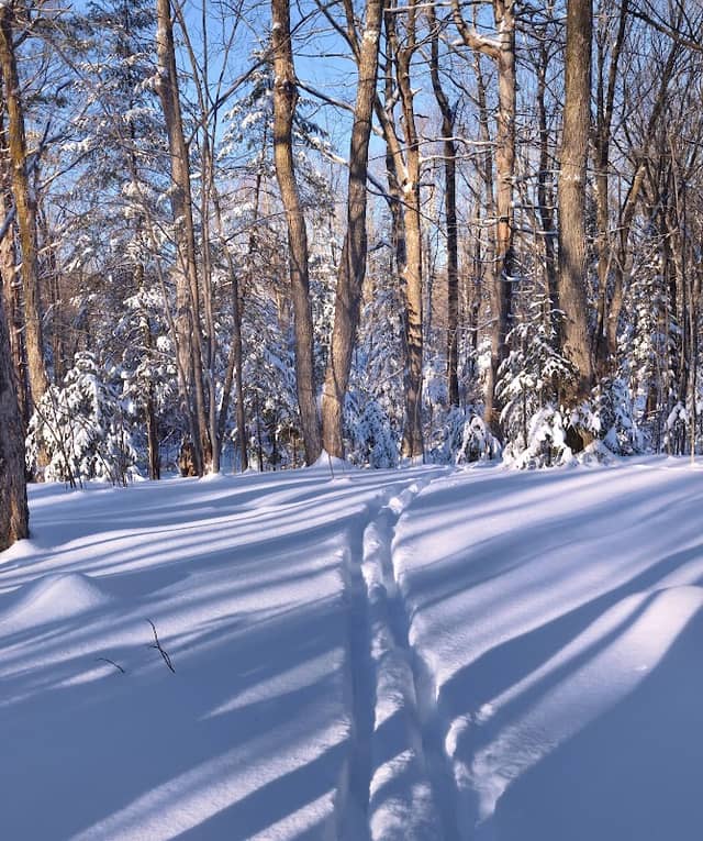 Bagley Nature Area Trailhead - Image 1