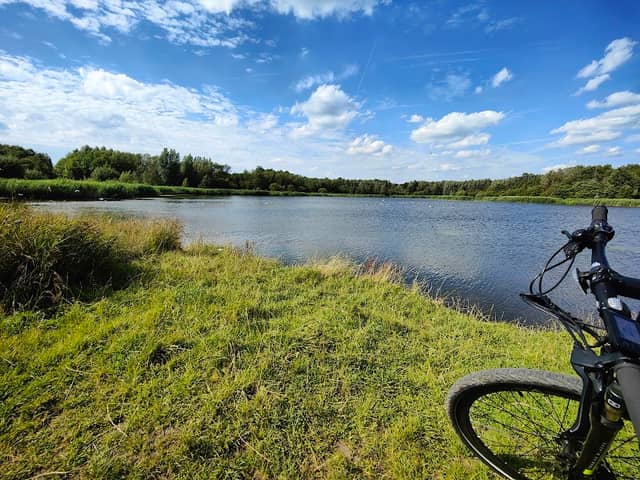 Amberswood Nature Reserve - Image 2