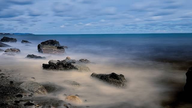 Back strand bray - Image 1