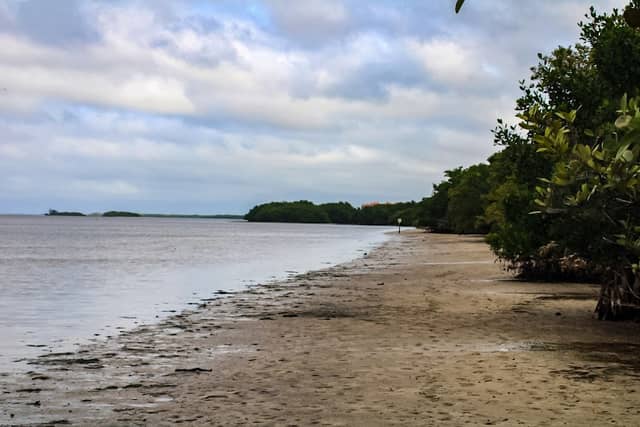 Charlotte Harbor Preserve State Park North Cape Flats Trail - Image 1