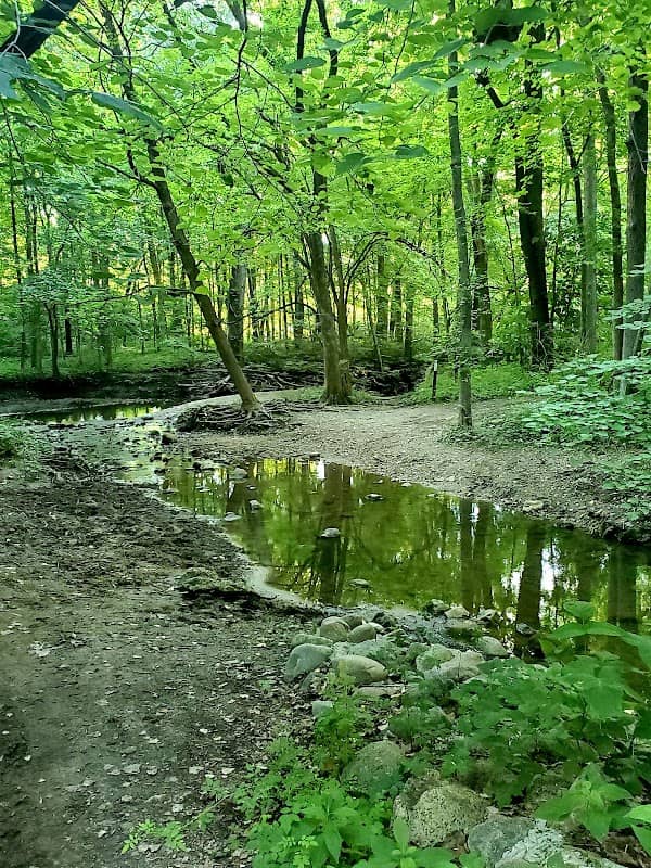 Hoover Forest Preserve - Image 1