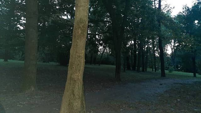 Parco Rialzato - Image 2