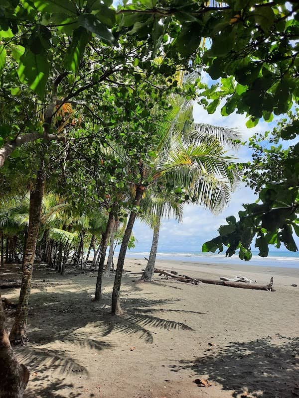 Manuel Antonio - Image 3