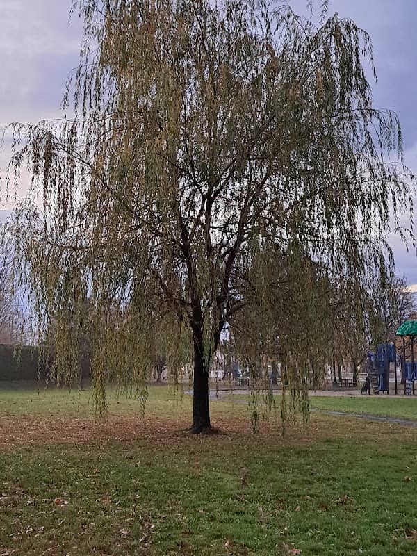 Parc des Trois-Portages - Image 2