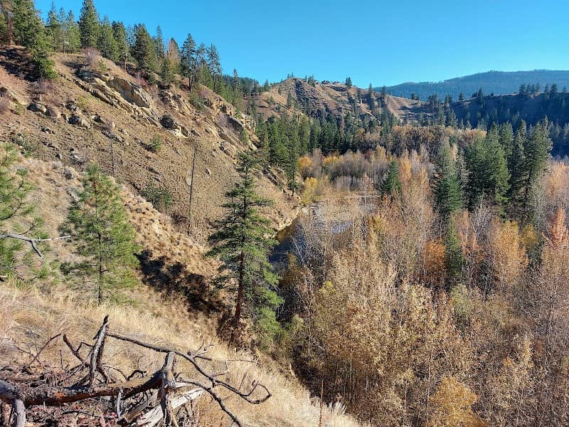 Scenic Canyon Regional Park - Image 2