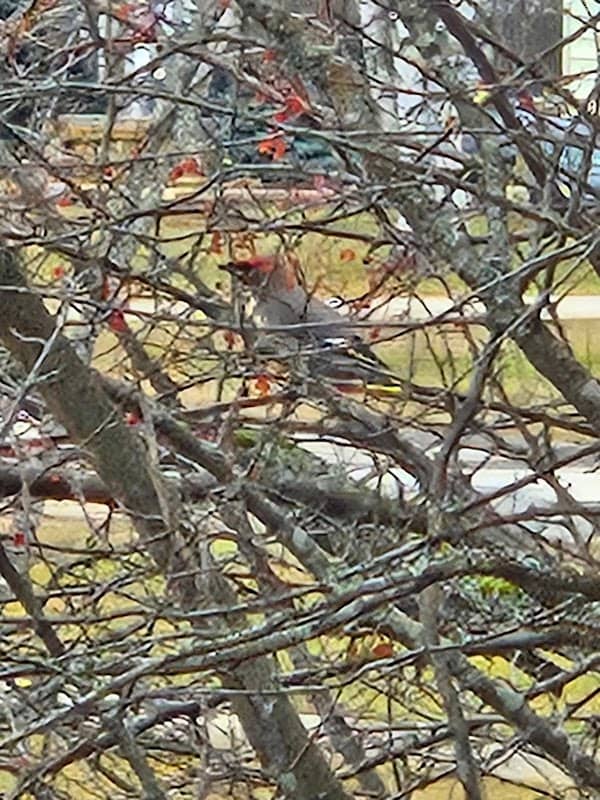 Washington Park - Image 2