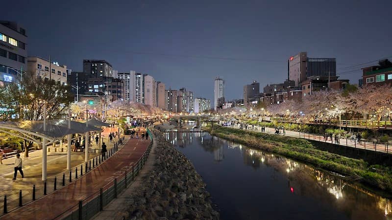 Uicheon Stream Cherry Blossom Road - Image 2
