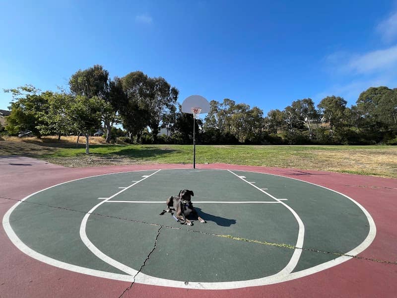 Hilltop Green Park - Image 2