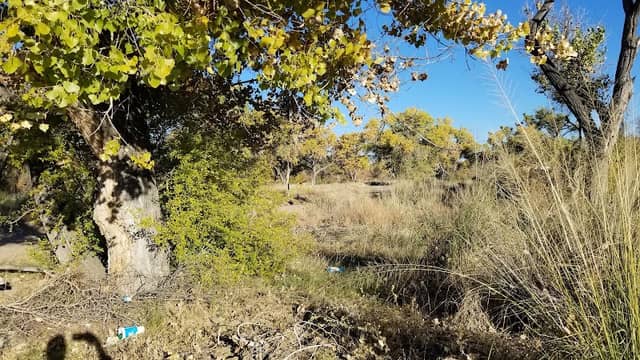 Sandbar Park - Image 2