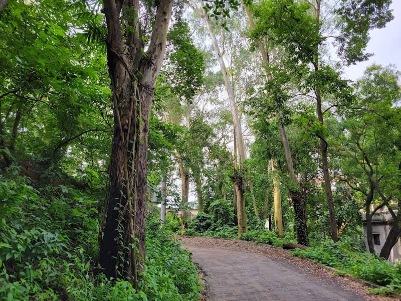 Batali Hill - Image 1