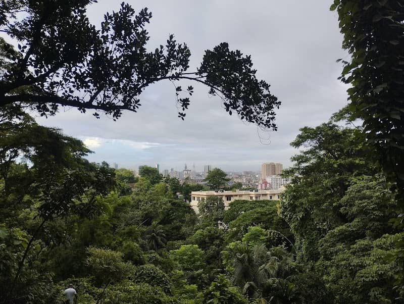 Batali Hill - Image 2
