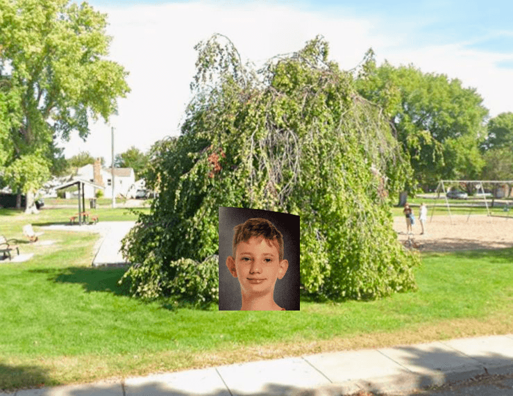 Desmond's tree - Image 2