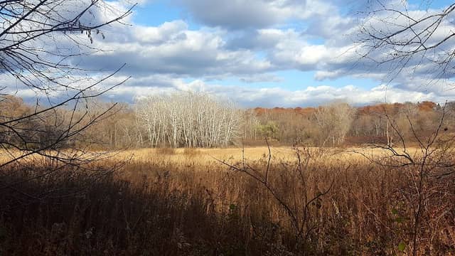 Purgatory Park, Minnetonka Township - Image 1