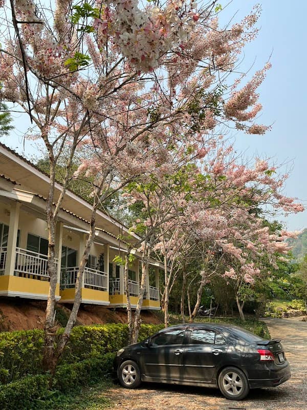 Chiang Rai Lake Hill Resort - Image 1