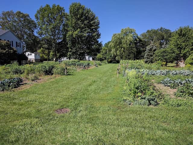 Plum Street City Garden Plots - Image 1