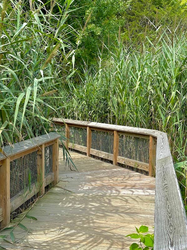 Lawrence Wetlands Preserve - Image 2