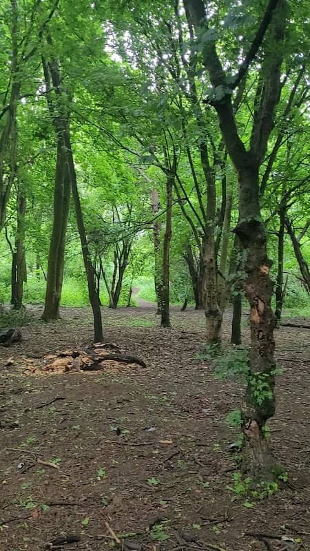 Swansbrook Grove - Image 2