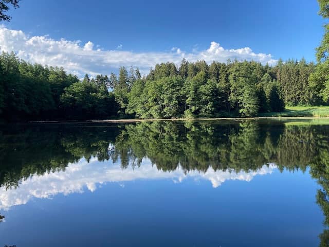 Holzweiher - Image 1