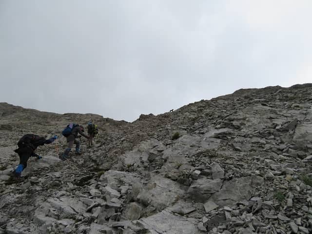Mount Tyrwhitt - Image 2