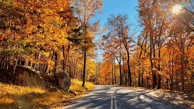 Morrow Mountain State Park - Image 3