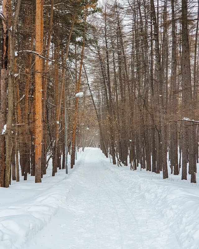 Nepeytsevsky arboretum - Image 2