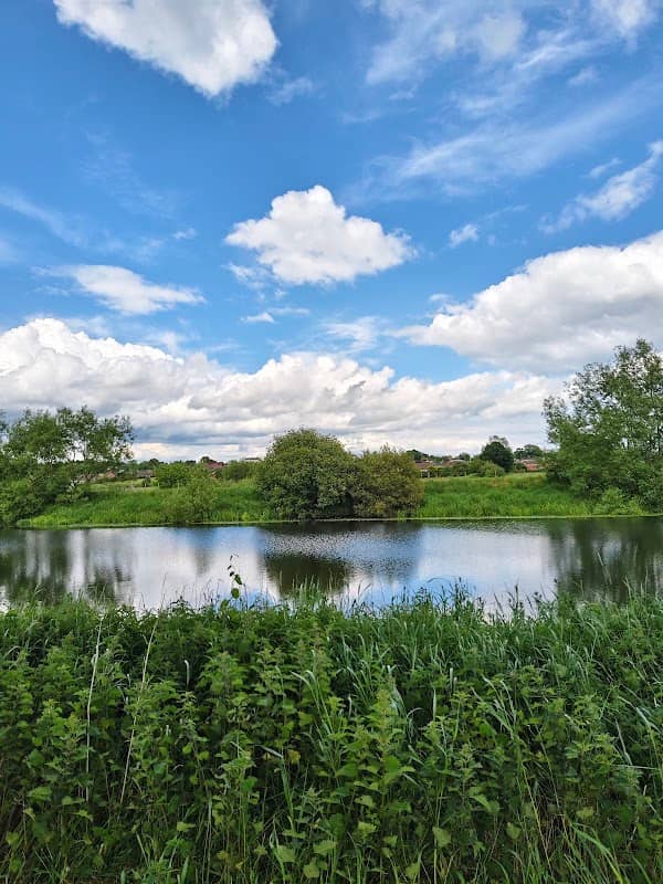 Point of Whitecote - Image 1