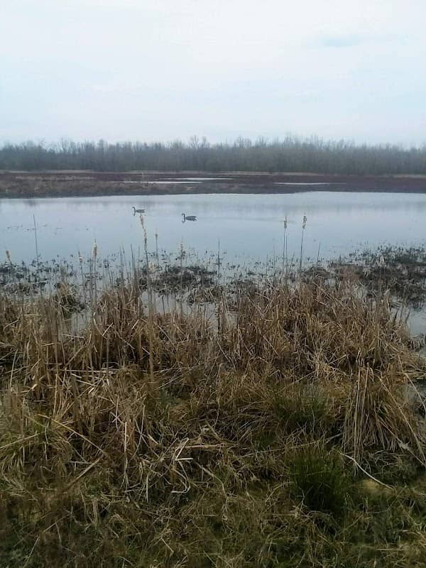 Austin Bottoms Wildlife Conservation Area - Image 1