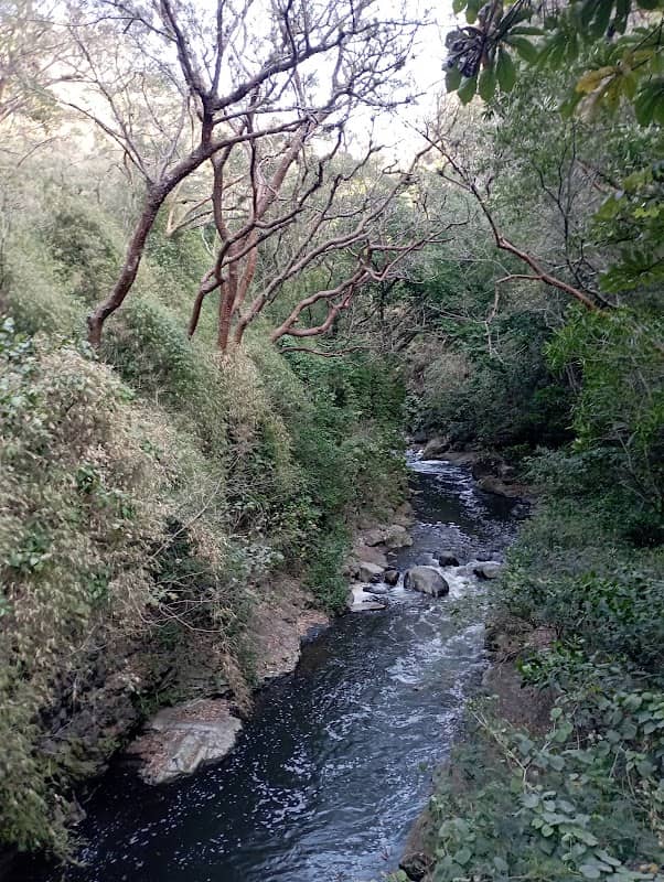 Barranco "Las Lajas - El Brujo" - Image 3