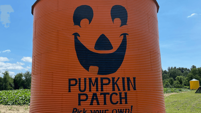 The Pumpkin Patch - Image 1