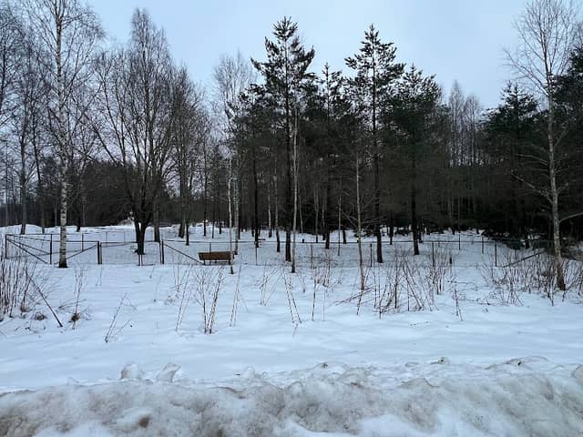 Pärlängsvägens Hundrastgård - Image 2