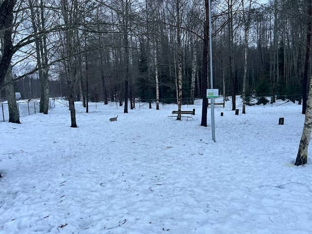 Pärlängsvägens Hundrastgård - Image 1