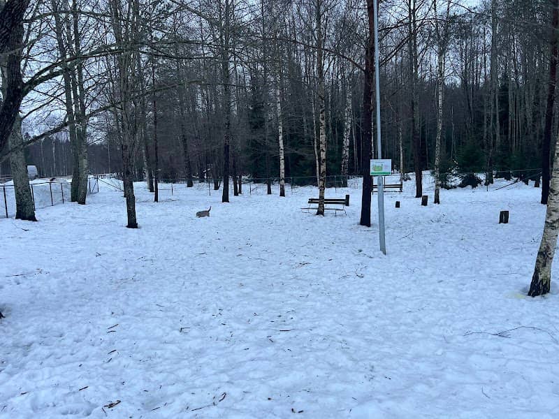 Pärlängsvägens Hundrastgård - Image 1